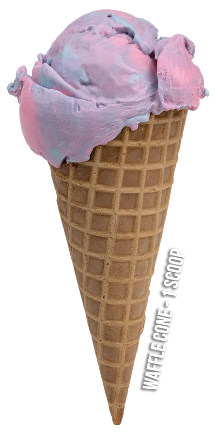 1 Scoop Waffle Cone