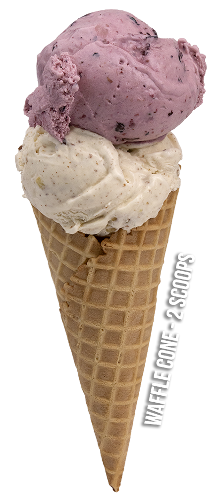 2 Scoops Waffle Cone