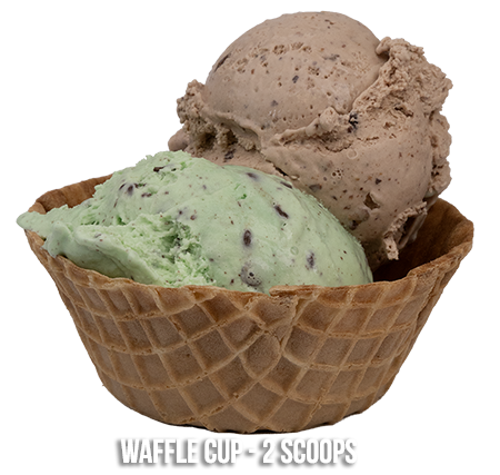 2 Scoops Waffle Cup