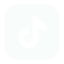 Tik Tok Icon